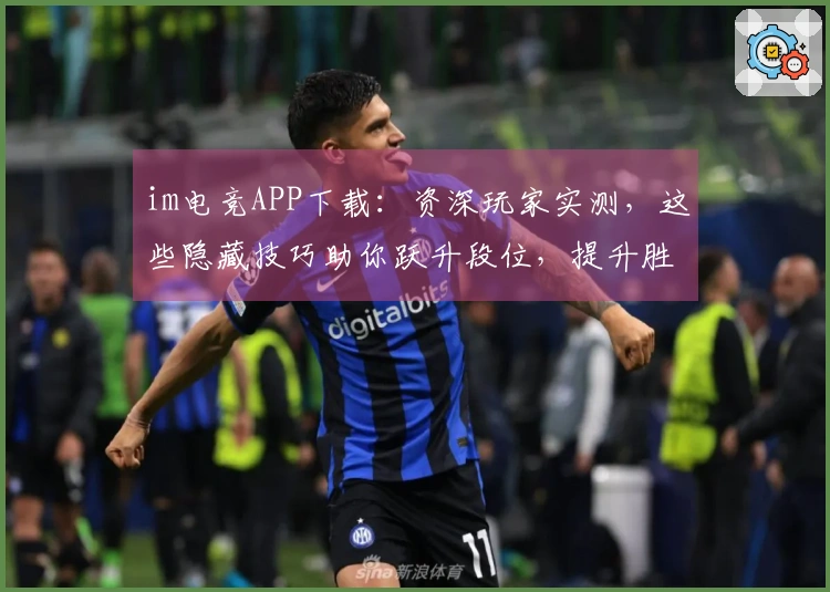 im电竞APP下载：资深玩家实测，这些隐藏技巧助你跃升段位，提升胜率不是梦