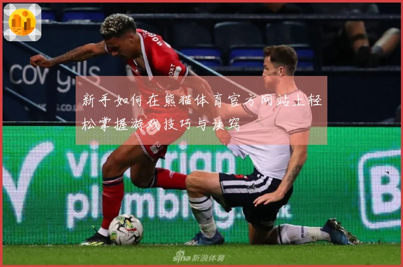 新手如何在熊猫体育官方网站上轻松掌握游戏技巧与诀窍