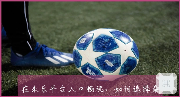 在米乐平台入口畅玩，如何选择最适合你的游戏下载体验？